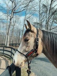 Lariat Buck stitch Halter