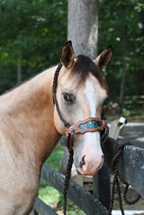 Braided Bronc Halter