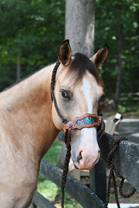 Braided Bronc Halter
